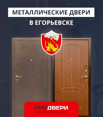Металические двери в Егорьевске