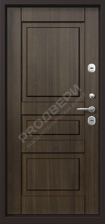 Фотография «Дверь Порошок №52»